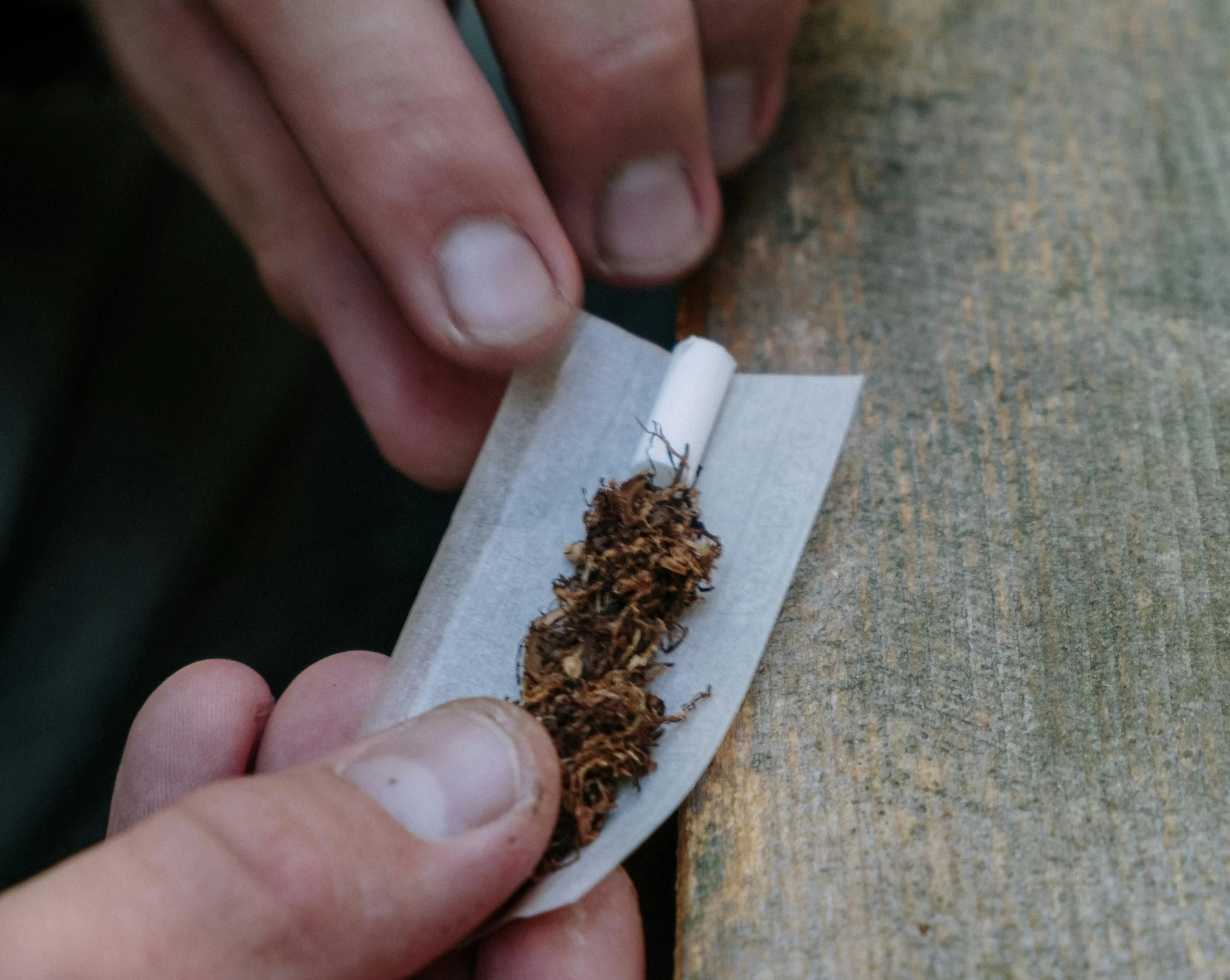 precio del tabaco para entubar